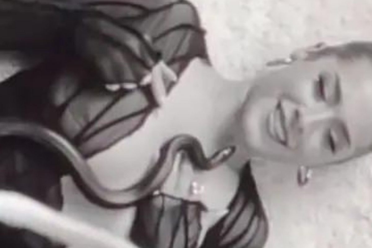 जमिनीवर झोपून व्हिडिओ शूट करत होती गायिका; अचानक सापाने चेहऱ्यावर केला हल्ला, थरारक VIDEO