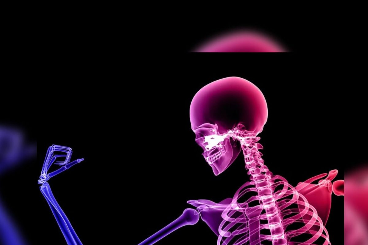 - हाडांना ताकद देते
नारळाचे पाणी केवळ उच्च रक्तदाब नियंत्रित करत नाही, तर हाडांशी संबंधित अनेक आजारांवरही त्याचा फायदा होतो. नारळाच्या पाण्यात कॅल्शियम असते, जे दात आणि हाडे मजबूत ठेवण्यासाठी खूप प्रभावी आहे.