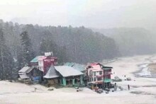 हिमाचलमध्ये जोरदार बर्फवृष्टी; जमिनीवर पसरलीये पांढरी चादर, पाहा PHOTOS