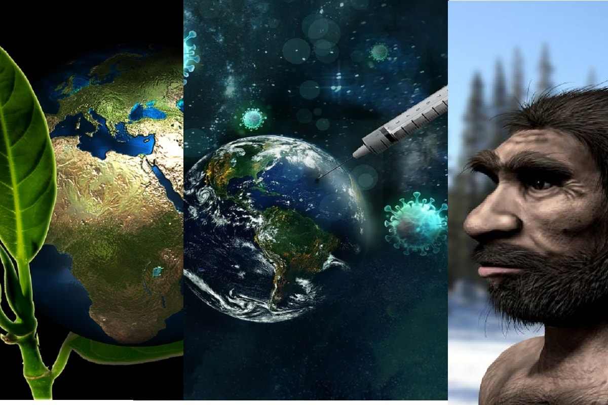 वर्ष 2021 मध्ये कोविड महामारी असतानाही वैज्ञानिक क्षेत्रात अनेक उल्लेखनीय गोष्टी झाल्या आहेत. गेल्या दोन वर्षांत कोविड महामारीमुळे संशोधनाचा वेग मंदावला आहे, हे देखील सत्य आहे. मात्र, 2021 मध्ये लसीकरण आणि इतर उपायांमुळे उर्वरित जगाच्या काही कामांना नक्कीच गती मिळाली. 2021 मध्ये केलेल्या संशोधन कार्यात कोविड-19 वर अधिक भर देण्यात आला होता. प्रमुख सहा यशांपैकी दोन कोविड संबंधित संशोधनावर आहेत. आरोग्याव्यतिरिक्त, हवामान बदल आणि मानवी इतिहासाशी संबंधित शोधांनीही प्रमुख शोधांमध्ये स्थान मिळवलं. शास्त्रज्ञांना मानवी विकासाची अधिकाधिक महत्त्वाची माहिती मिळाली. (फोटो: Pixabay/ Nobu Tamura Wikimedia Commons द्वारे)
