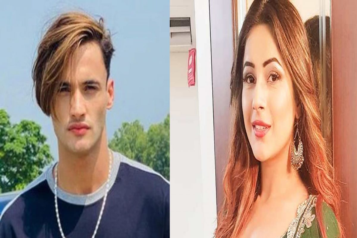 शहनाज गिलचा डान्स video पाहून आसीमने मारला टोमणा, चाहत्यांनी सुनावले खडेबोल