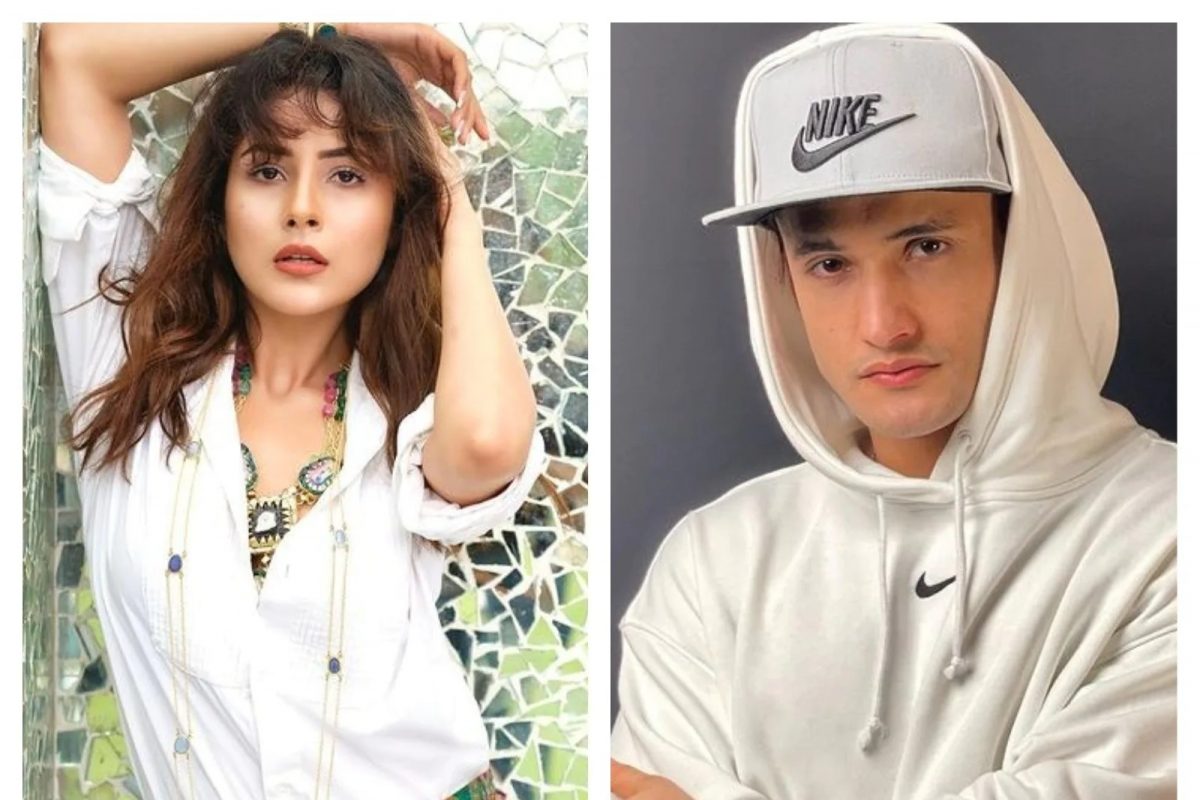 Shahnaz-Asim वादात 'या' टीव्ही अभिनेत्याची उडी; असीमची केली कानउघडणी