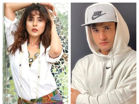 मॉडेल असीम रियाझ (Asim Riaz) आणि शहनाज गिल (Shahnaz Gill) या दोघांच्या समर्थकांमध्ये सोशल मीडियावर सध्या मोठ्या प्रमाणात वाद सुरू आहे. या वादात आता टीव्हीच्या एका बड्या अभिनेत्याने उडी घेतली आहे. 