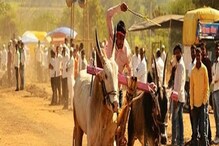 महाराष्ट्रात बैलगाडा शर्यतींना सशर्त परवानगी; वाचा काय आहेत अटी? महाराष्ट्रात बैलगाडा शर्यतींना सशर्त परवानगी; वाचा काय आहेत अटी?