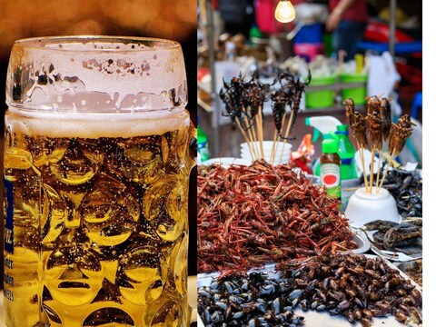 जपानी लोक (Japani People) झुरळांपासून बनवलेल्या या बिअरचा (Beer) मोठ्या उत्साहाने आस्वाद घेतात.