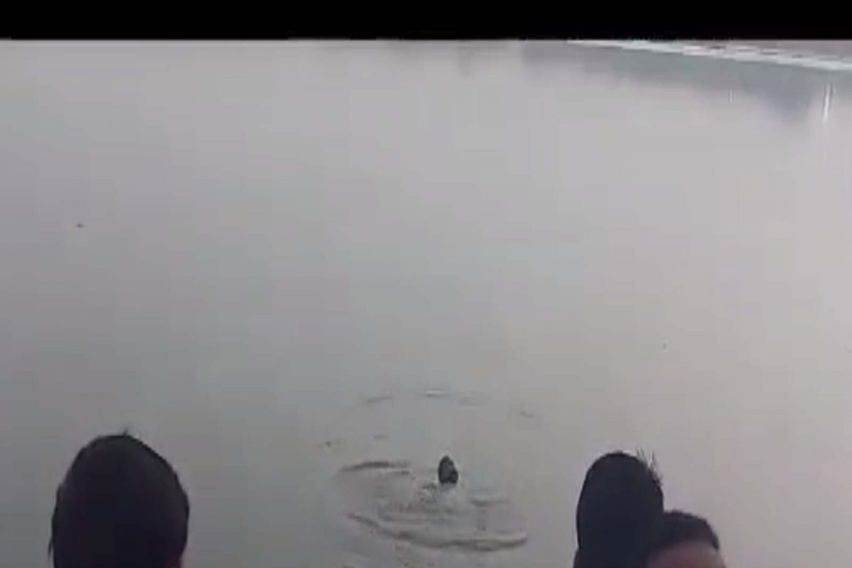 मागील काही दिवसांपासून आनंद हा आपल्या पत्नीवर चारित्र्याचा संशय घेत असल्याने त्यांच्यात भांडण सुरू होते.