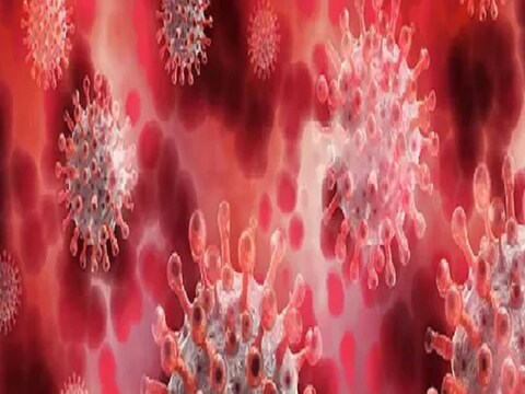कोरोनाच्या ओमिक्रॉन (Omicron) विषाणूच्या प्रत्येक उत्परिवर्तनावर (Mutation) सोट्रोविमॅब (Sotrovimab) हे औषध अत्यंत प्रभावी असल्याचा दावा शास्त्रज्ञांनी केला आहे.