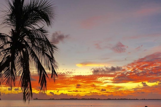 बजेटमध्ये Honeymoon चा प्लॅन करताय? तुमचा आनंद द्विगुणीत करण्यासाठी 'हे' ठिकाण सर्वोत्तम