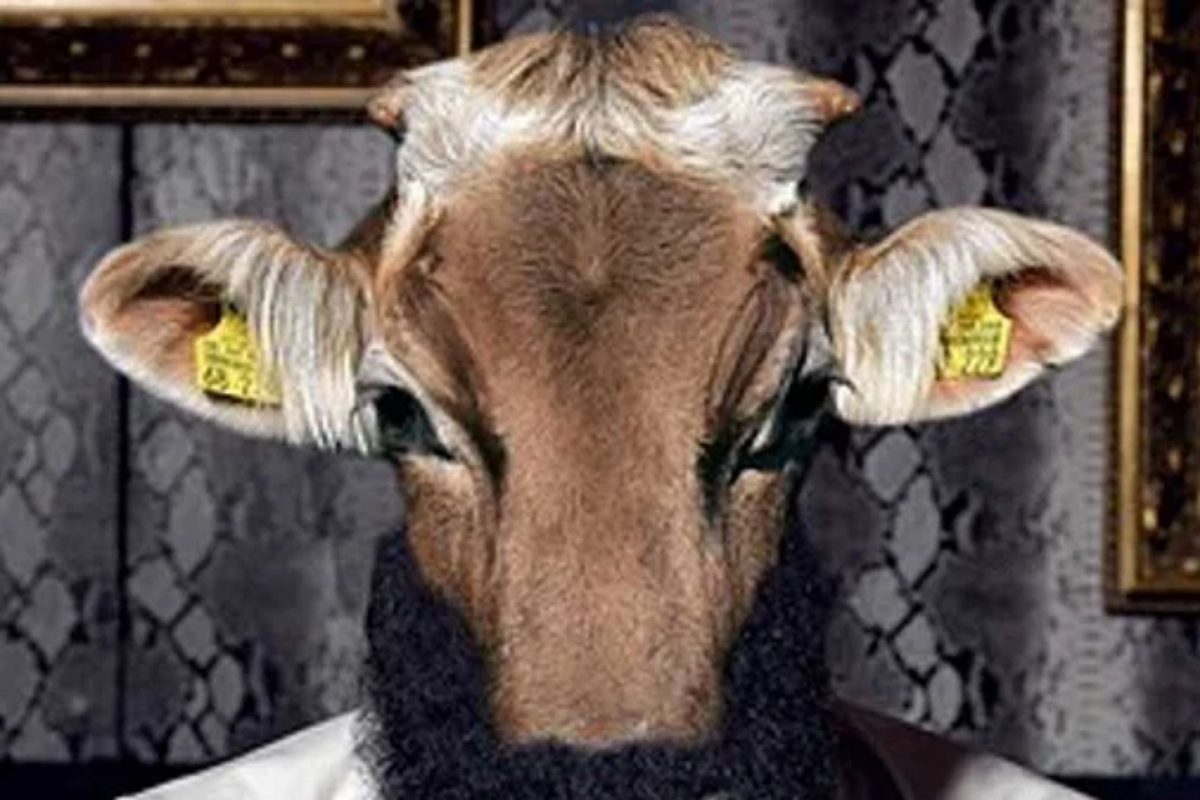 ऐकावं ते नवलच! माणसं खातात गुरांचा चारा आणि स्वत:ला समजतात गाय, असाही भयानक आजार