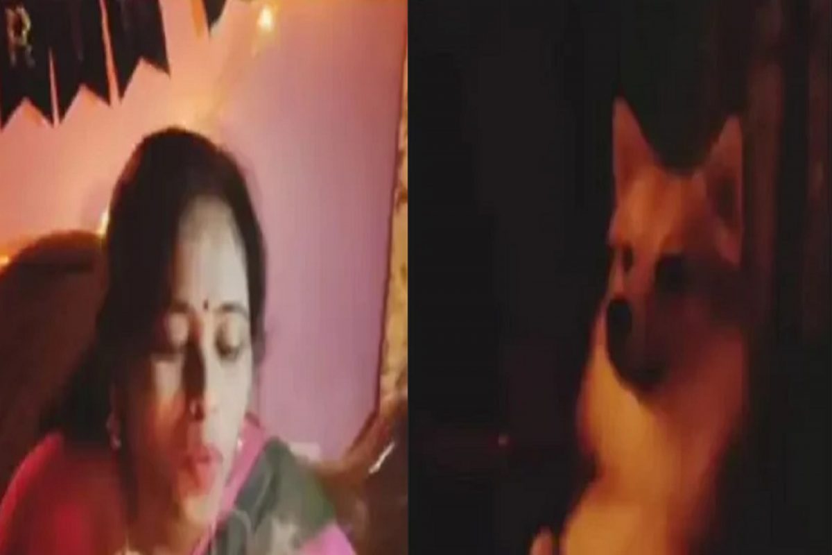 Birthday आहे मालकाचा! कुत्र्याचं सेलिब्रेशन पाहून तुम्हीही अवाक व्हाल; पाहा भन्नाट VIDEO