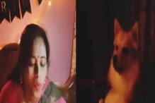 Birthday आहे मालकाचा! कुत्र्याचं सेलिब्रेशन पाहून अवाक व्हाल; पाहा VIDEO Birthday आहे मालकाचा! कुत्र्याचं सेलिब्रेशन पाहून अवाक व्हाल; पाहा VIDEO