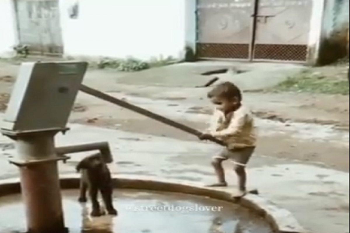 VIDEO - तहानेने व्याकूळ झालेल्या कुत्र्यासाठी धावून आला चिमुकला; जे केलं ते पाहूनच वाटेल हेवा