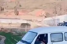 अरारारा खतरनाक! पठ्ठ्याने कमालच केली; Driving Video पाहून भलेभले पडले गार
