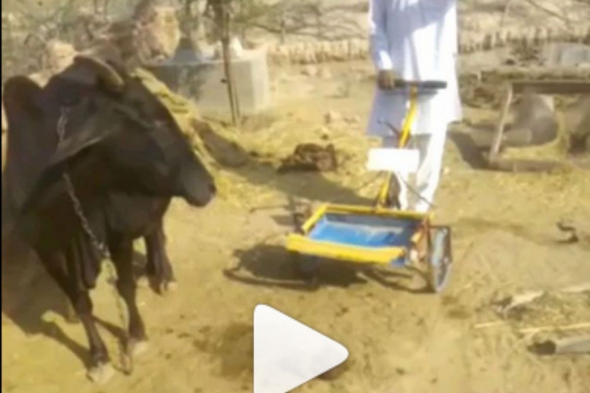 Desi Jugaad: हात न लावता शेण उचलण्याचा अजब जुगाड, शेतकऱ्याची ही ट्रिक झाली Viral