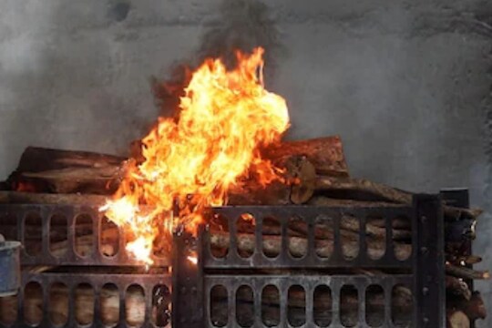 प्रातिनिधीक फोटो