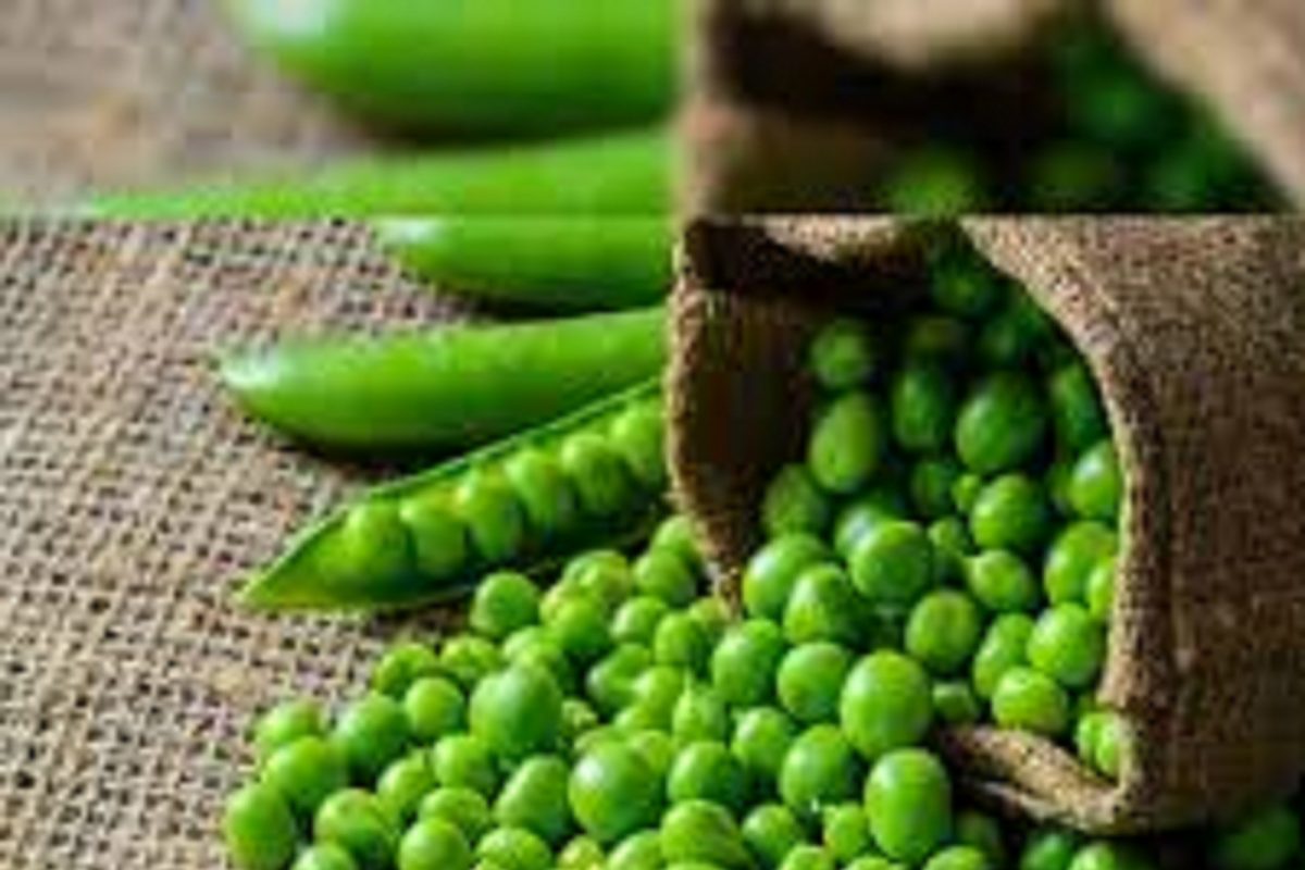 Green Peas: तुम्ही मटार भरपूर खाता ना? मग या गोष्टीही तुम्हाला माहीत असाव्यात