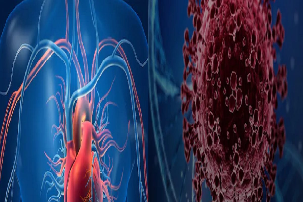 हृदयातही घुसतोय कोरोना; संशोधनातून समोर आली धक्कादायक बाब