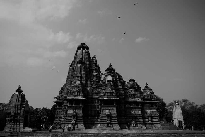 नृत्य महोत्सवात दररोज सायंकाळी 7 ते रात्री उशिरापर्यंत एक कार्यक्रम असतो. तिकिटे येथे मोफत आहेत. आता कोविड निर्बंध उठवल्यामुळे हा महोत्सव पुन्हा सुरू होणार आहे.
