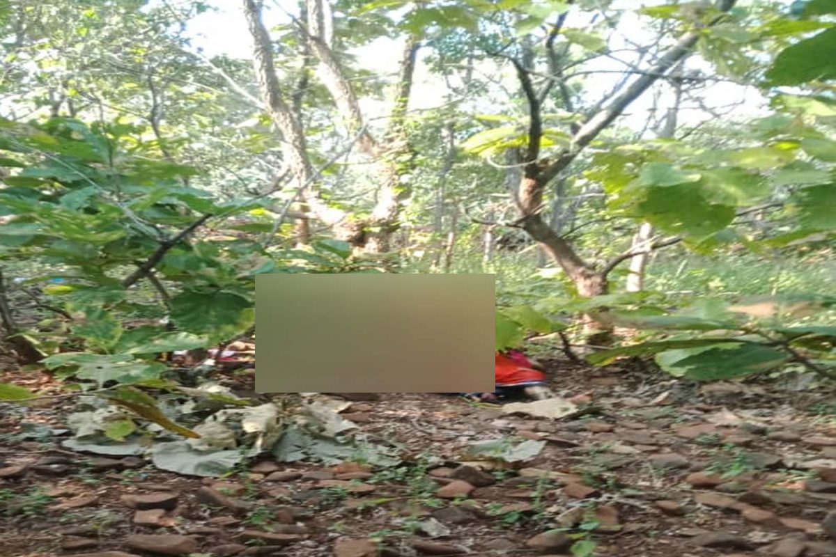 कोरोनाच्या आधी हे कुटुंब मुंबईत जाऊन उपजीविका भागवत होतं मात्र लॉकडाउननंतर ते गावी आले होते.