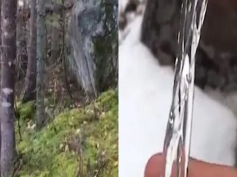 Amazing Nature Videos : निसर्गाचं रूप जे पाहून तुमचा तुमच्या डोळ्यांवरही विश्वास बसणार नाही.
