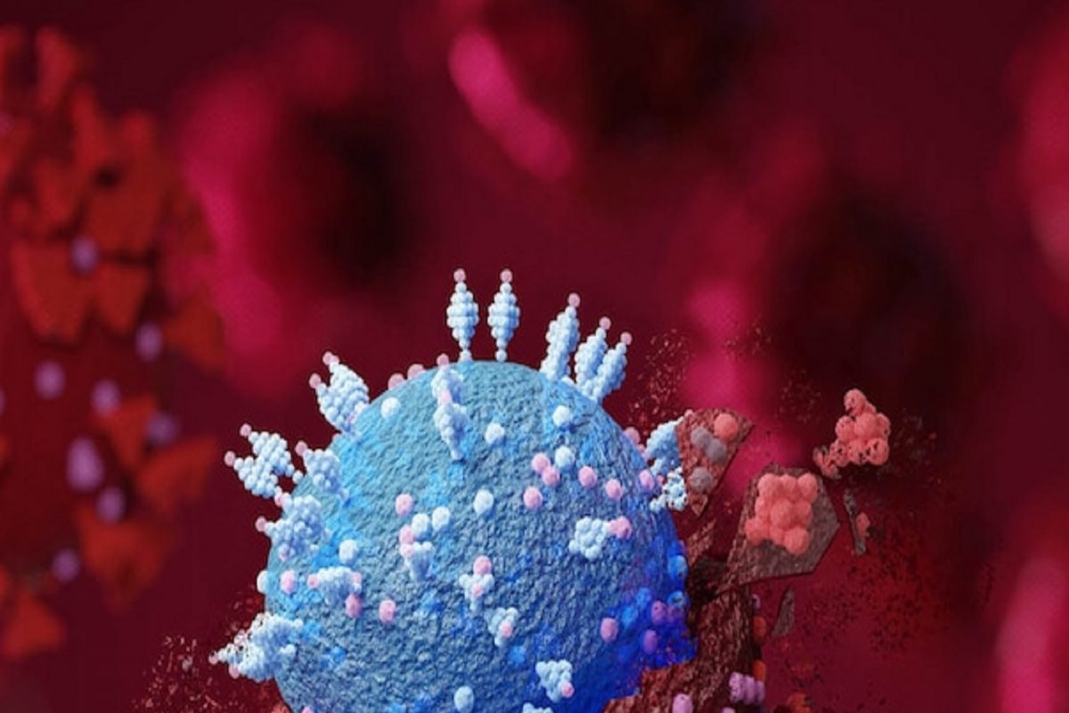 दक्षिण आफ्रिकेवरून कल्याण डोंबिवलीमध्ये आलेल्या एक 33 वर्षीय तरुण हा ओमायक्रॉन पॉझिटिव्ह आढळला आहे