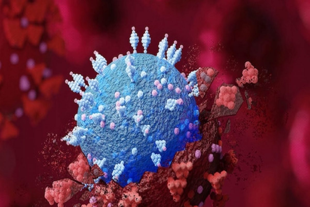 सांगलीमध्ये Omaicron चा शिरकाव, राज्यात रुग्णांची संख्या 500 पार