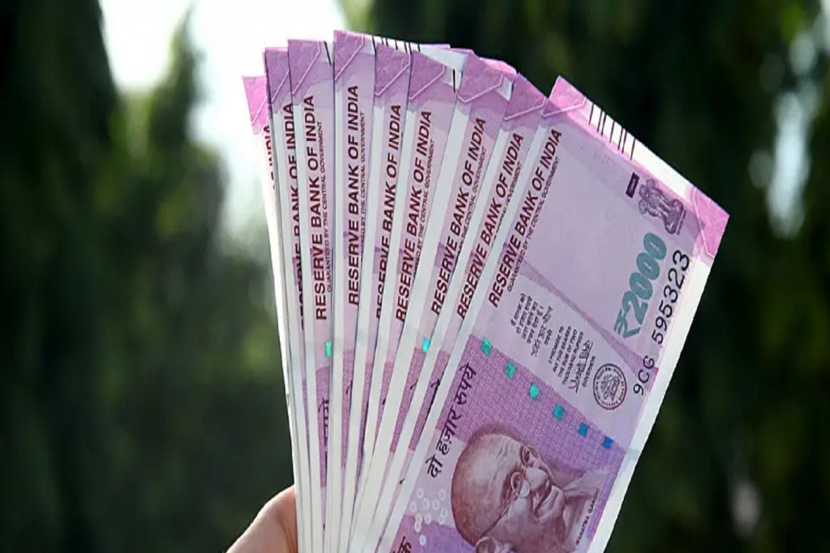 केवळ 25000 रुपयांमध्ये सुरू करा हा व्यवसाय, दरमहा होईल 50000 रुपयांपर्यंत कमाई