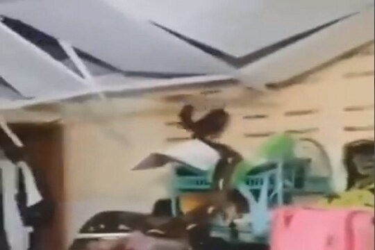 अरे बापरे! छप्पर तोडून बाहेर पडला घरात दडून बसलेला अजगर आणि...; पुढे जे घडलं ते पाहून अंगावर येईल काटा
