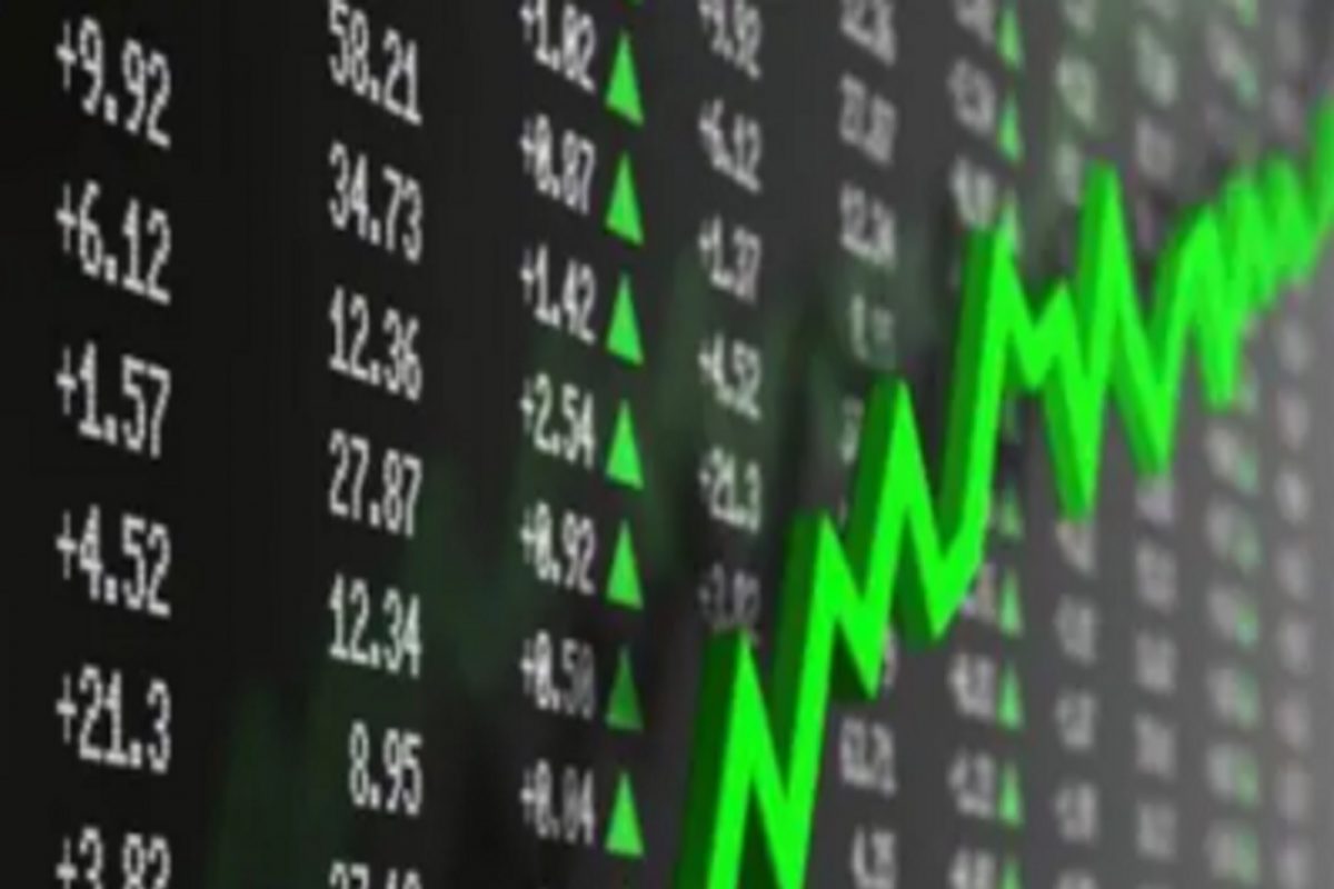 Investment Tips: या 10 शेअर्सने 5 वर्षात 10 लाख रुपयांचे केले 1.7 कोटी रुपये, पाहा कोणते आहे हे स्टॉक्स