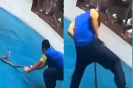 Shocking Video! सापासोबत मस्ती तरुणाला पडली भारी; शेपटी धरताच Private part ला केला दंश