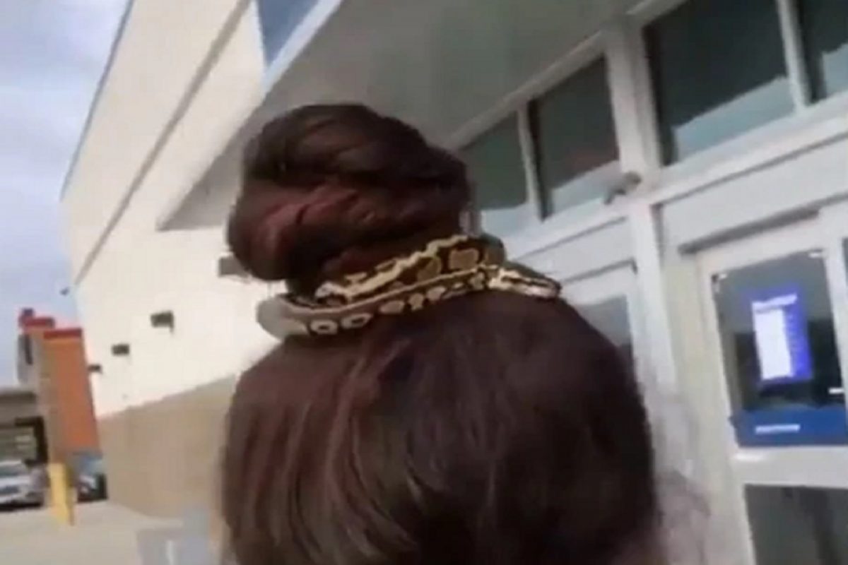 बापरे बाप! महिलेने केसांमध्ये रबरऐवजी गुंडाळला चक्क जिवंत साप आणि...; विचित्र फॅशनचा VIDEO पाहूनच फुटेल घाम