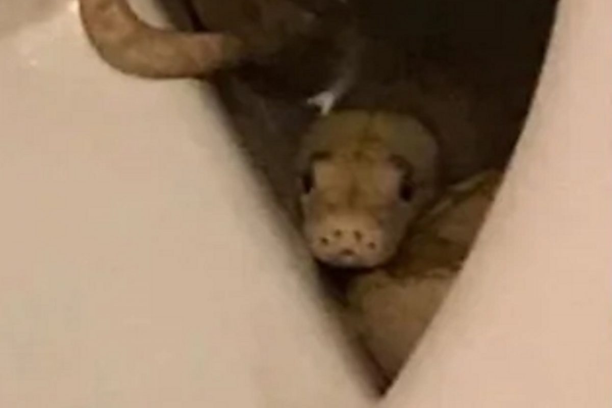 प्रतीकात्मक फोटो