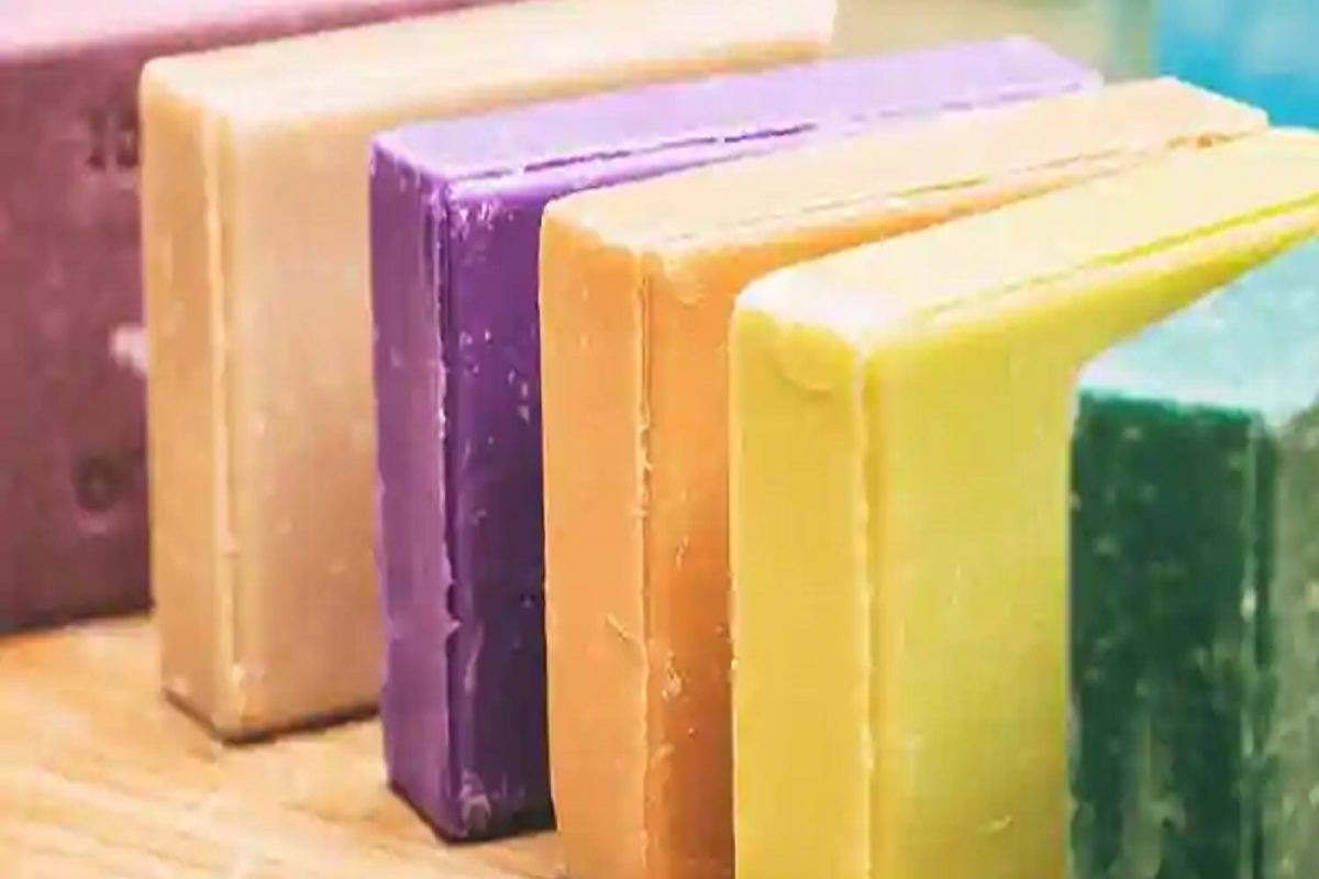 मोदी सरकारच्या मदतीने सुरू करा हा व्यवसाय, होईल 50000 रुपयांचा नफा; वाचा काय आहे प्रोसेस?