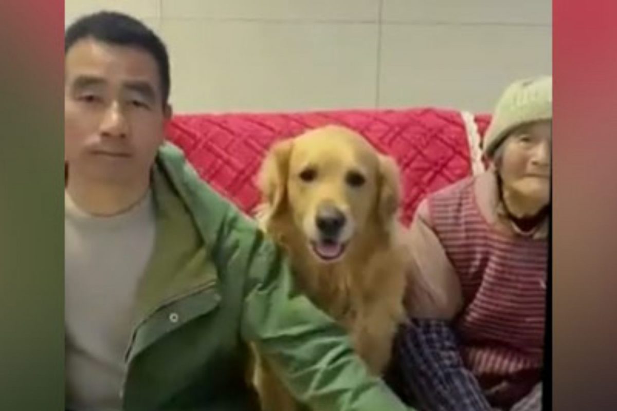 आईला त्रास देणाऱ्या मुलाला कुत्र्याने शिकवला धडा; VIDEO होतोय व्हायरल