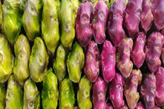 Shingada: हिवाळ्यात शिंगाडा खाण्याचे आहेत अनेक फायदे (Photo: shutterstock.com)