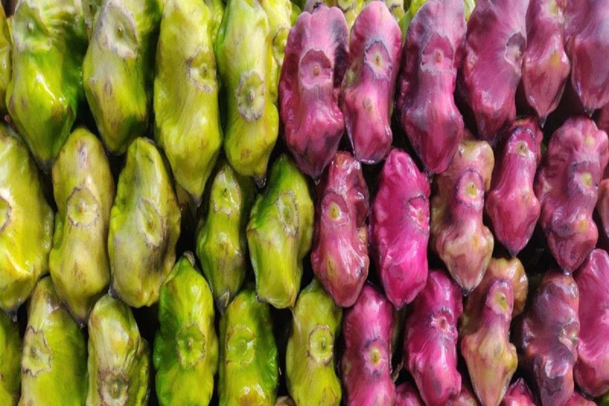 Shingada: हिवाळ्यात शिंगाडा खाण्याचे आहेत अनेक फायदे (Photo: shutterstock.com)