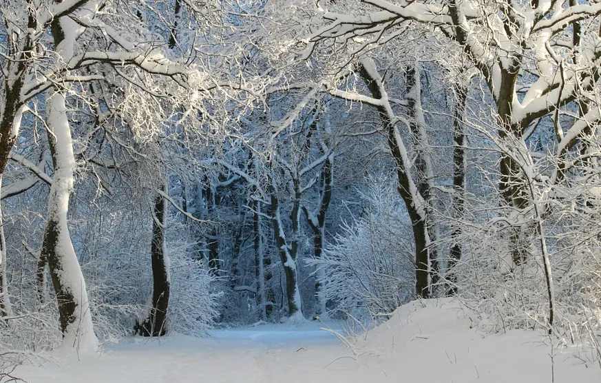 कझाकस्तानमधील अस्ताना शहरात जानेवारीत सरासरी तापमान -14 °C असते. त्याचबरोबर कडाक्याच्या थंडीत पारा -61 अंशांपर्यंत घसरला आहे. त्यामुळेच वास्तूच्या दृष्टिकोनातून अतिशय सुंदर घरे आणि मशिदींनी वेढलेले शहरातील रस्ते बहुतांश रिकामेच राहतात. येथील नद्या नोव्हेंबरपासून एप्रिलच्या सुरुवातीपर्यंत गोठलेल्या राहतात आणि उन्हाळा येताच सामान्य नदीप्रमाणे वाहू लागतात. (प्रतिकात्मक फोटो Pixabay)