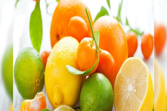 लिंबूवर्गीय फळे

आपण आपल्या आहारात लिंबूवर्गीय फळांचा समावेश केला पाहिजे. कारण लिंबूवर्गीय फळांमध्ये व्हिटॅमिन सी खूप चांगल्या प्रमाणात आढळते. यामुळे आपली रोगप्रतिकारशक्ती मजबूत होण्यात मदत मिळते. ज्यामुळे आपले शरीर कोणत्याही प्रकारच्या विषाणूंपासून सहजपणे स्वतःचे संरक्षण करू शकते. यासाठी संत्रा, लिंबू, किवी, आवळा, द्राक्षे, पेरू, मनुका या फळांचा आहारात समावेश करू शकता.
