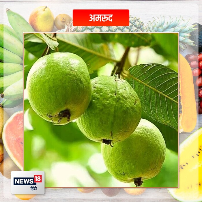 पेरू - पेरू अनेकांचे आवडते फळ आहे. या फळाचा आस्वाद घेण्यासाठी अनेकजण हिवाळ्याची वाट पाहत असतात. यामध्ये व्हिटॅमिन सी आणि अँटीऑक्सिडंट्स भरपूर प्रमाणात असतात. रोगप्रतिकारशक्ती वाढवण्यासोबतच त्यामुळे पचन होण्यास आणि रक्तातील साखरेची पातळी नियंत्रणात राहण्यास मदत होते.