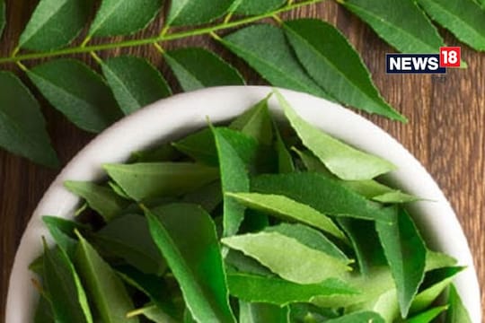 Curry leaves Benefits: सकाळी रिकाम्या पोटी चावून खा कढीपत्त्याची पाने; याचे फायदे अनेकांना माहीत नसतील
