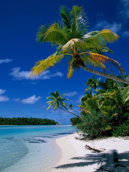 कूक आयलंड न्यूझीलंडला लागून असणारा या साऊथ पॅसिफिक देशात सध्या एकही कोरोनाचा रुग्ण नाही. कोरोनाची बातमी आल्यापासूनच या देशानं आपल्या सीमा बंद केल्या होत्या. आता त्या खुल्या करण्यात आल्या आहेत. देशातील 97 टक्के नागरिकांचं लसीकरण पूर्ण झालं आहे. 