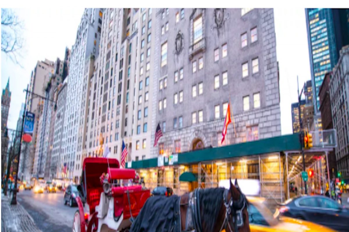 Horsepower आणि घोड्याचा काय आहे संबंध? अजूनही का वापरतात हेच unit?