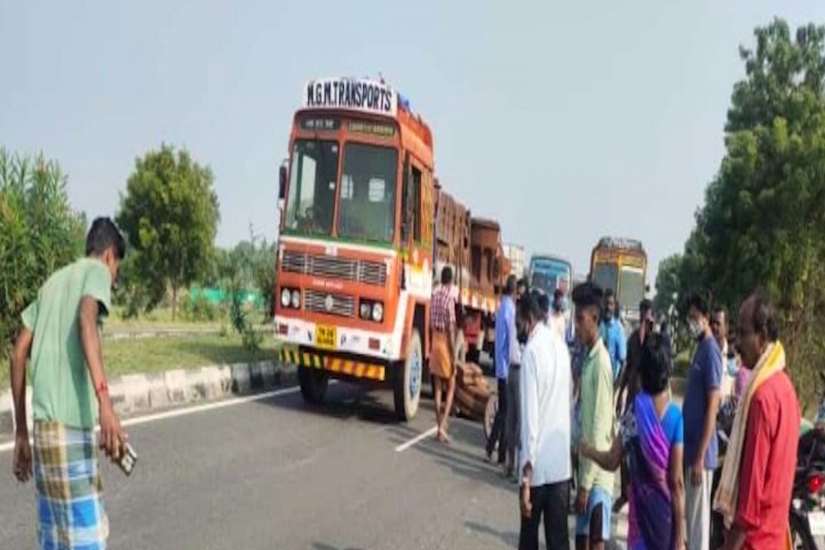 सापामुळे झाला Chain Accident! ट्रकने मारला ब्रेक, बसने तोडले बॅरिकेड्स; रिक्षाचालकाचा मोडला पाय!