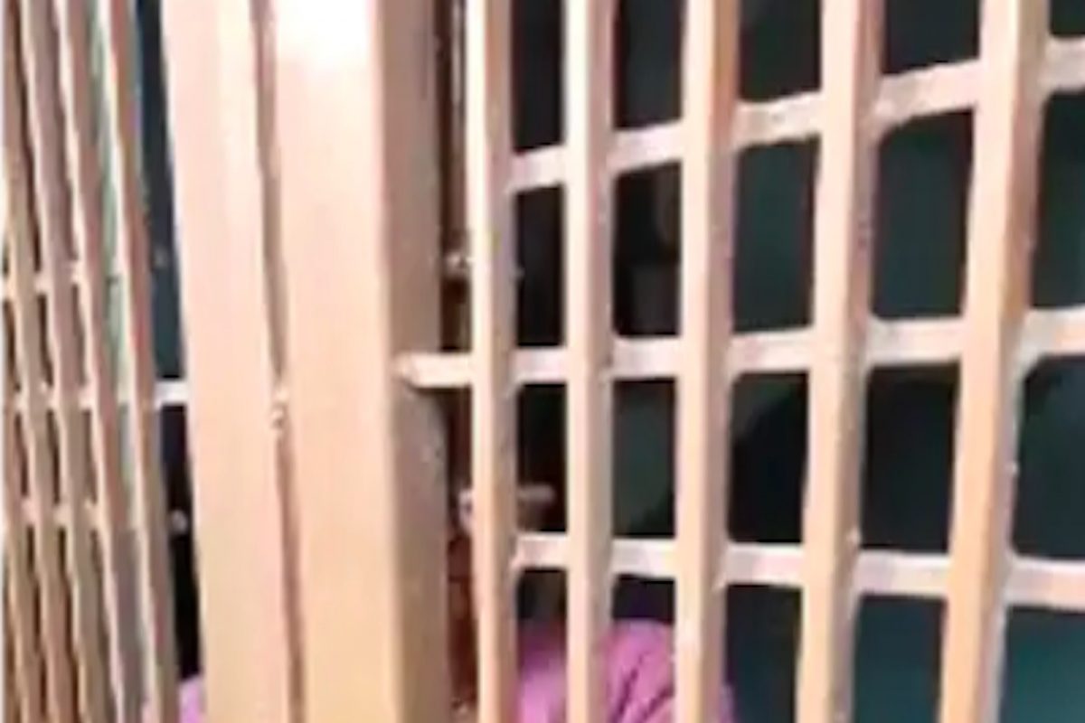 पत्नी आणि मुलाला खोलीत कोंडलं; सहाव्या दिवशी घडला सुटकेचा थरार