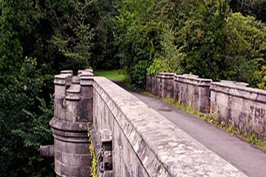 Dog Suicide Bridge: या पुलावर पोहोचल्यावर कुत्रे आत्महत्या करतात? आजही उलगडलं नाही आहे हे गूढ