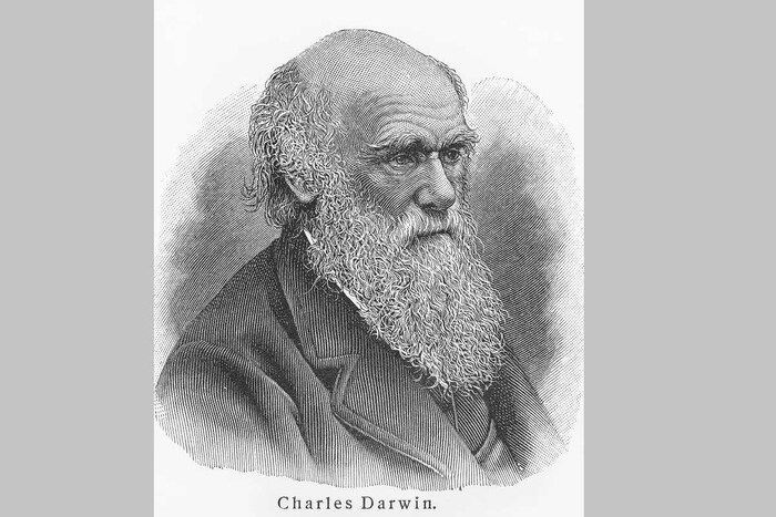 सजीवांमध्ये विकास किंवा उत्क्रांतीची (Evolution) काशी दिशा असते. ही एक सामान्य कल्पना असून ती चुकीची आहे. अनेक जीवशास्त्रज्ञ देखील बऱ्याच काळापासून या गृहितकाचे समर्थन करण्याचा प्रयत्न करीत आहेत. पण, नवीन संशोधनानुसार या गैरसमजात काही तथ्य असल्याचे दिसते. या अभ्यासात आनुवंशिकशास्त्रज्ञांच्या गटाने जीवशास्त्रज्ञ चार्ल्स डार्विनचा (Charles Darwin) सिद्धांत नाकारला आहे, ज्याने जीवनाच्या उत्क्रांतीचा सिद्धांत दिला होता. त्यानुसार म्यूटेशन अनियमितपणे होतात. सारस्कोव्ह-2 च्या म्यूटेशनमुळे (Mutation) संपूर्ण जग त्रस्त असताना हा शोध लागला आहे. (फोटो: निक्कू / शटरस्टॉक)