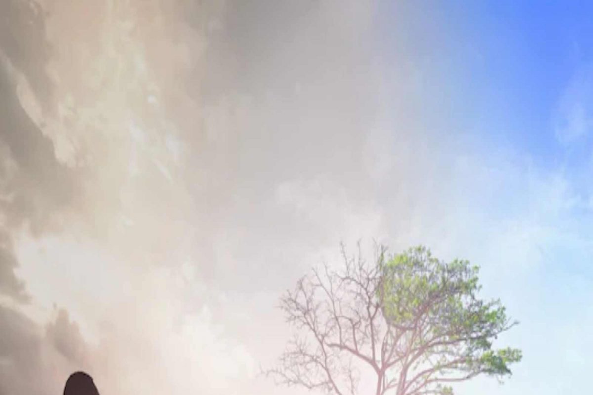 Climate change: बदलत्या परिस्थितीनुसार माणूस जुळवून घेतोय का? संशोधनातून नवीन माहिती समोर