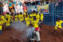 तामिळनाडूमध्ये ‘Jallikattu’ ला सुरुवात; काय आहे हा खेळ, पाहा खास PHOTOS