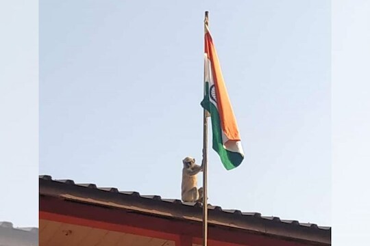 Republic Day