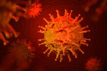 देशात Deltacron या नव्या व्हायरसची एन्ट्री, 'या' राज्यांमध्ये आढळले रुग्ण